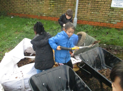 Photos of children at forest school