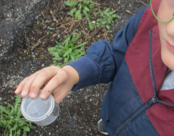 Photo of children at Forest School
