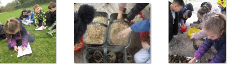 Photos of children making bird feeders at Forest School