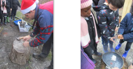 Photos of Forest School