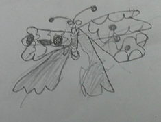 Photo of PSHE butterfly drawing