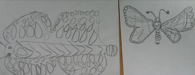 Photo of PSHE butterfly drawing
