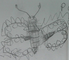 Photo of PSHE butterfly drawing