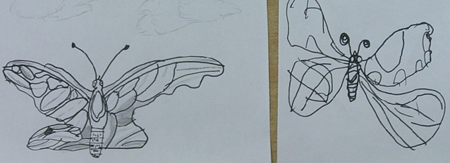 Photo of PSHE butterfly drawing