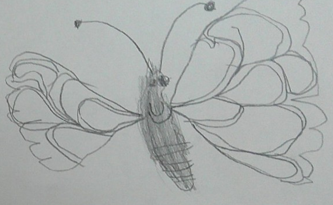 Photo of PSHE butterfly drawing