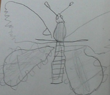 Photo of PSHE butterfly drawing