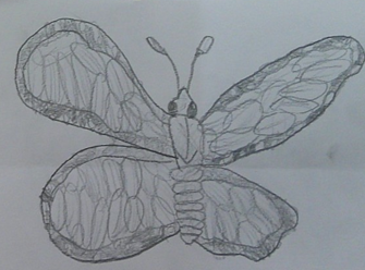 Photo of PSHE butterfly drawing
