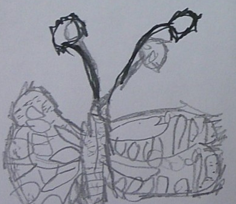 Photo of PSHE butterfly drawing