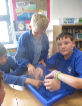 Photo of children dissecting a heart