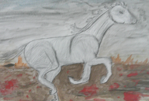 Photo of War Horse drawing