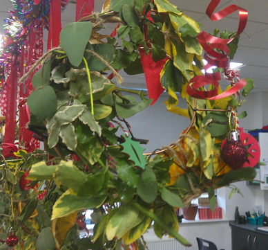 Photo of Christmas wreath