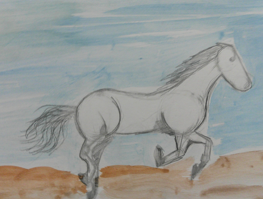 Photo of War Horse drawing