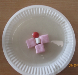 Photo of blood experiement