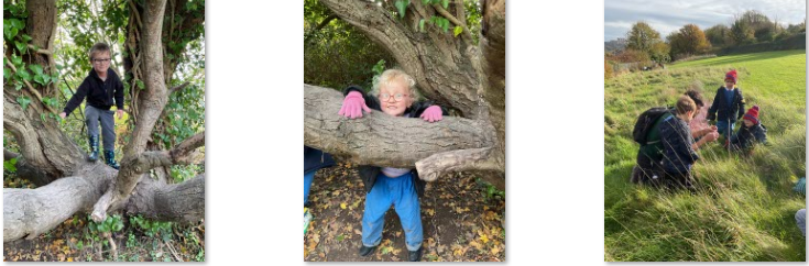 Photos of forest school