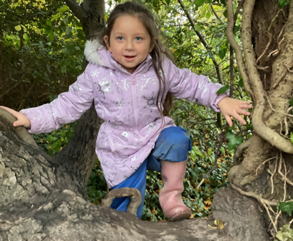 Photo of forest school