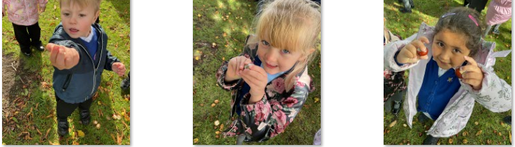 Photos of children collecting conkers