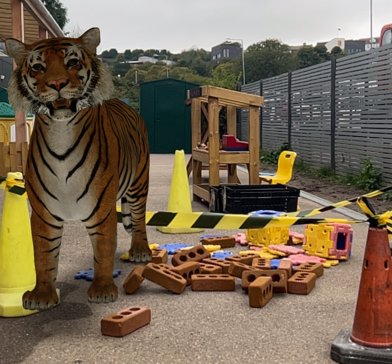 Photos of tiger in early years