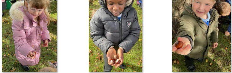 Photos of children collecting conkers