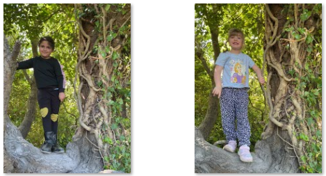 Photos of Forest School