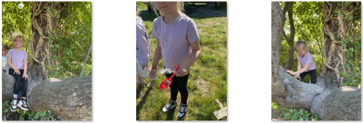 Photos of Forest School