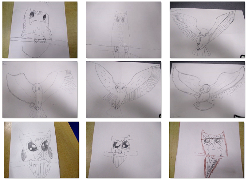 Photos of children's owl drawings