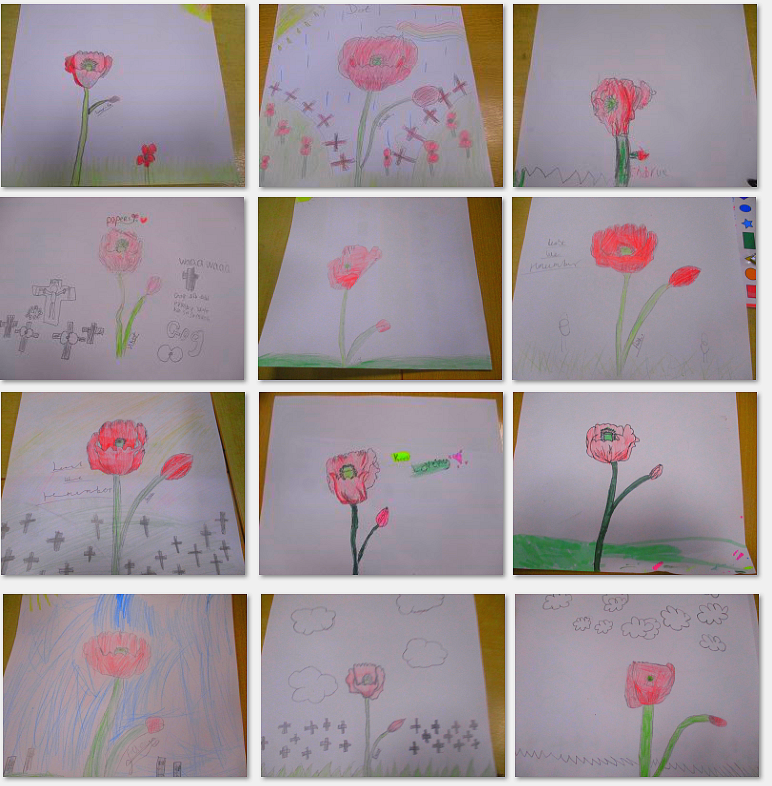 Photos of poppy drawing