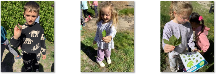 Photos of children collecting leaves at Forest School