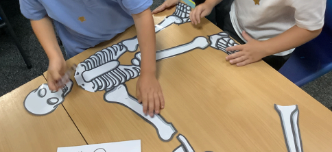Photos of children building skeltons