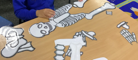Photos of children building skeltons