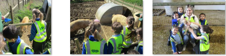Photos of children on farm trip
