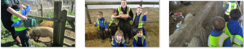 Photos of children on farm trip