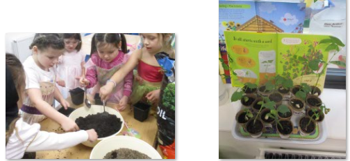 Photos of children planting