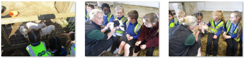 Photos of children on farm trip