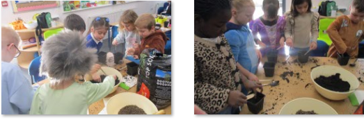 Photos of children planting