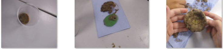 Photos of children making fossils