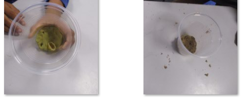 Photos of children making fossils