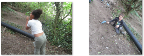 Photos of forest school