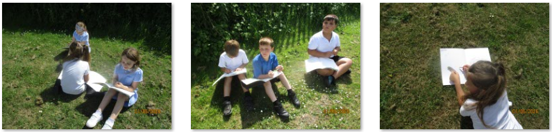 Photos of children doing woodland drawing