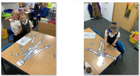Photos of children building skeleton