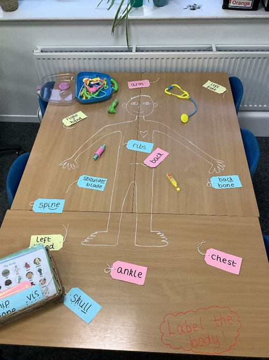 Photos of children labelling body parts