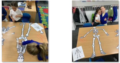 Photos of children building skeleton