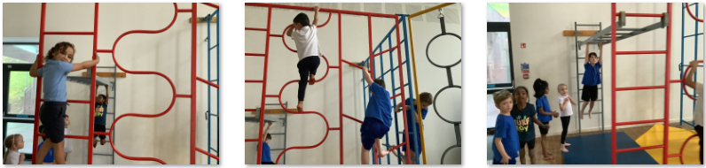 Photos of children doing PE on apparatus
