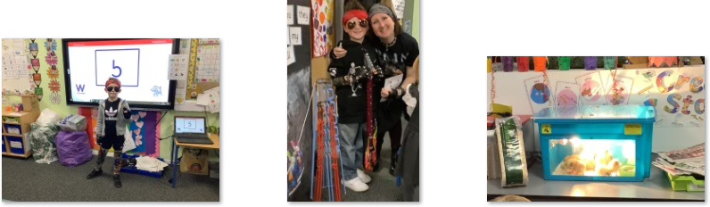 Photos of Number Day: rock start and chicks
