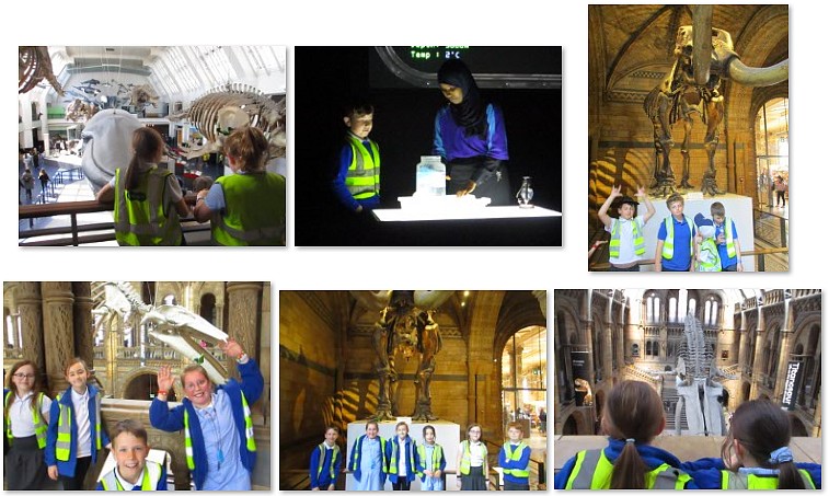Photos of Natural History Museum Trip