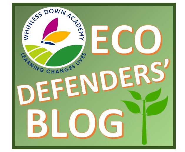 Eco defenders graphic