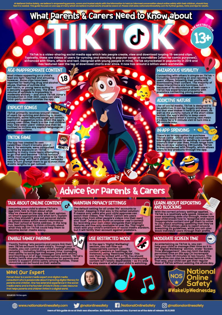 Tiktok Guide link image
