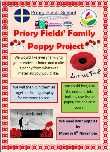 Poppy project flyer