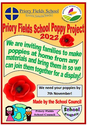 Photo of poppy flyer