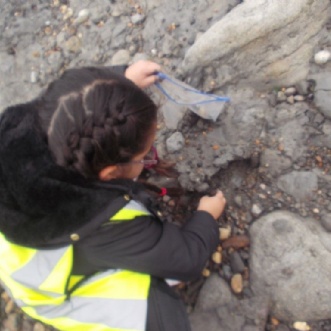 Photo of girl collecting fossils